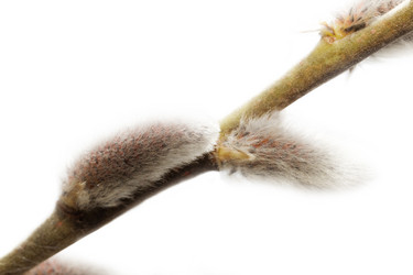 Similar image 21400742