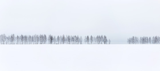 Similar image 21400743