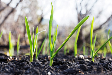 Similar image 21400748