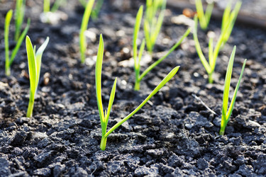 Similar image 21400749