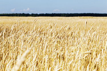 Similar image 21400751