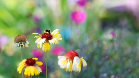 Similar image 21400752