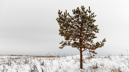 Similar image 21400755