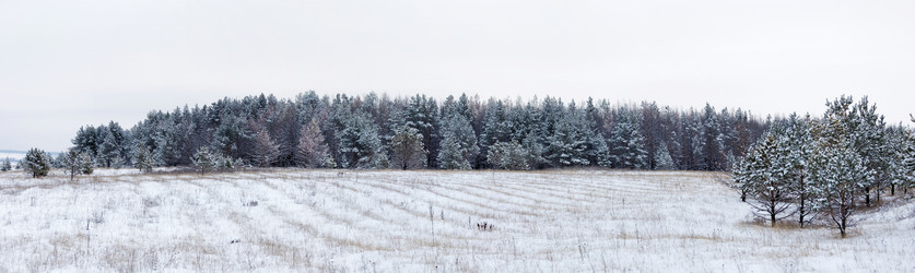 Similar image 21400758