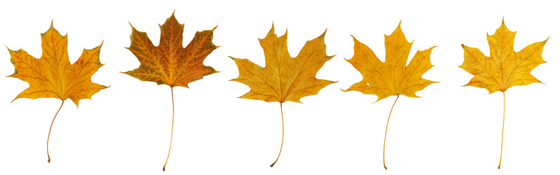 Similar image 21400759