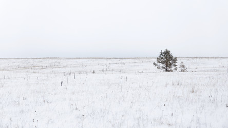 Similar image 21400760