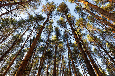 Similar image 21400762