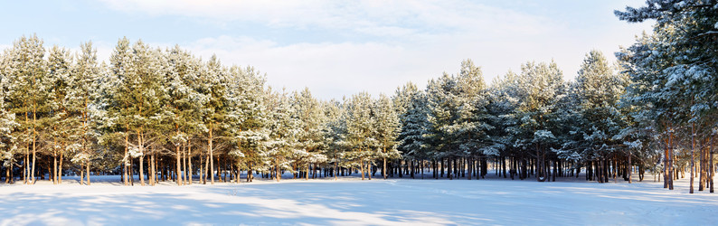 Similar image 21400763