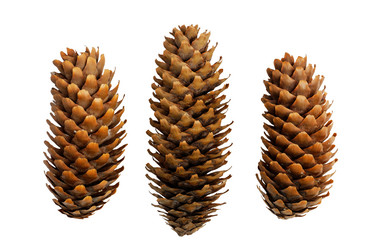 Similar image 21400764