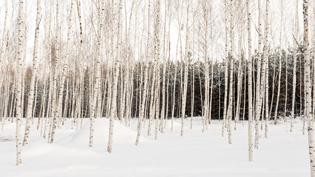 Similar image 21400766