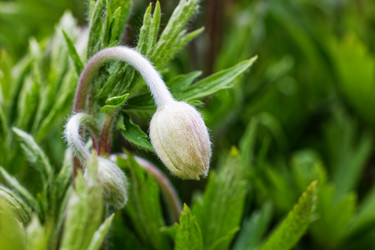 Similar image 21400767