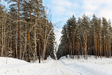 Similar image 21400768