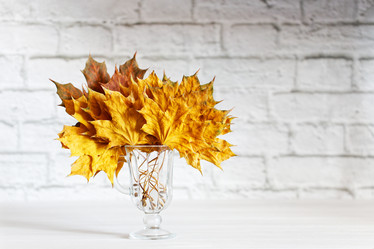 Similar image 21400771