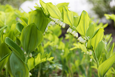 Similar image 21401038