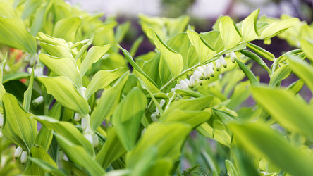 Similar image 21402411