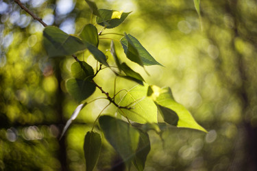 Similar image 21402414