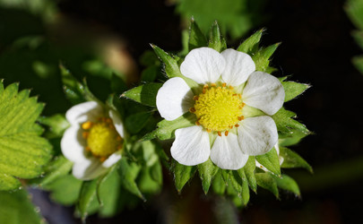 Similar image 21402415