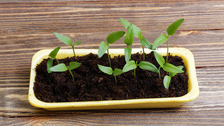 Similar image 21402417