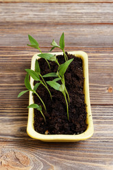 Similar image 21402419