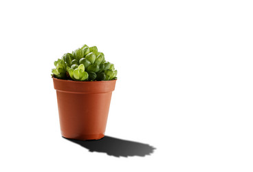 Similar image 21402420