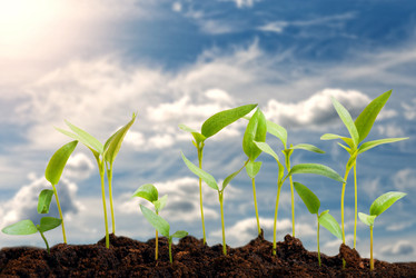 Similar image 21402421