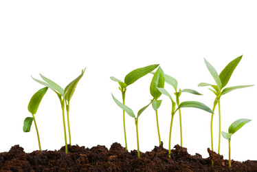 Similar image 21402423