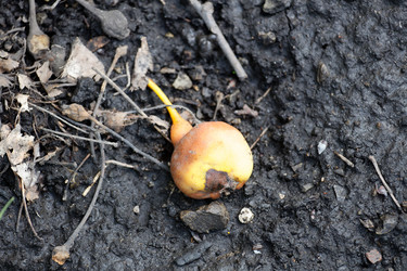 Similar image 21402424