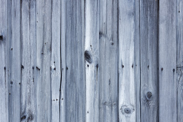 Similar image 21389518