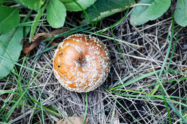 Similar image 21389521