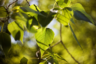 Similar image 21389523