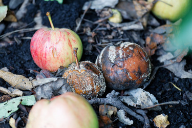 Similar image 21389524