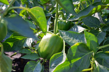 Similar image 21389527