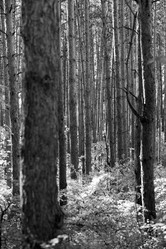 Similar image 21400625