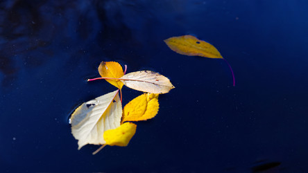 Similar image 21400775