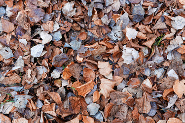 Similar image 21400776