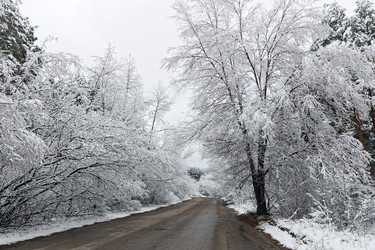 Similar image 21400778