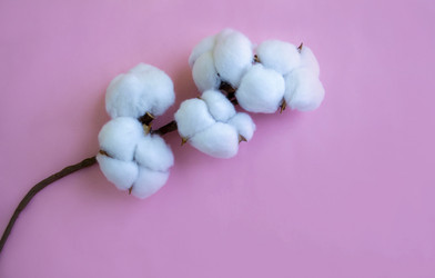 Similar image 21387056