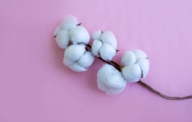 Similar image 21387057