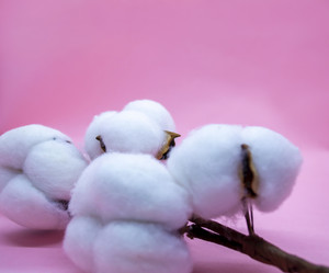 Similar image 21387059