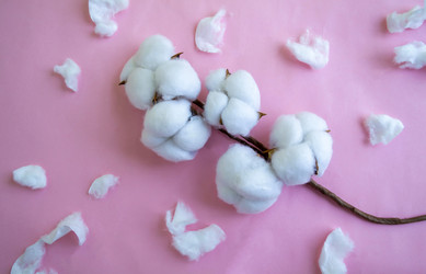 Similar image 21387062