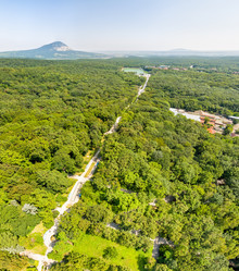 Similar image 21388012