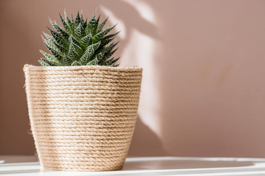 Similar image 21384303