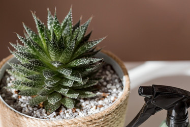 Similar image 21384304