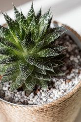 Similar image 21384305