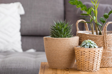 Similar image 21384306