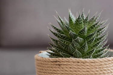 Similar image 21384307