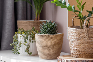 Similar image 21384308