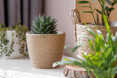 Similar image 21384310