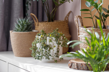 Similar image 21384311