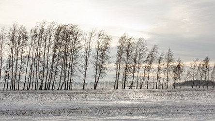 Similar image 21401525